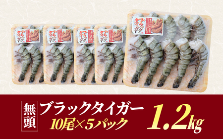 魚兵水産こだわりのブラックタイガー海老　 10尾5パック(計1200g程度)_大ぶり エビ 海鮮  小分け_【配送不可地域：離島】【1215914】