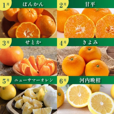 【発送月固定定期便】みかんのある暮らし全12回【H31−33】【配送不可地域：離島】【4000707】