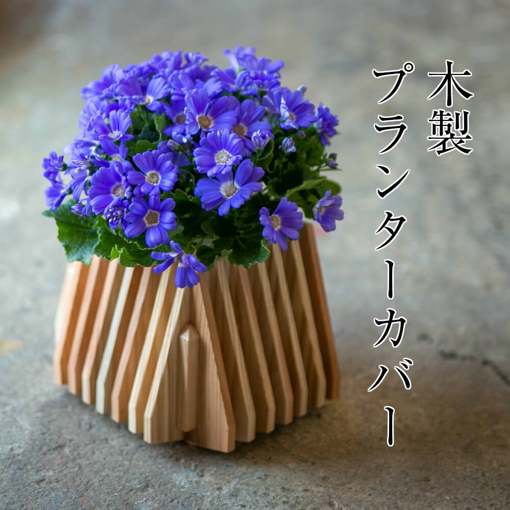【ふるさと納税】木製プランター 木 鉢 鉢カバー 鉢植え 天然素材 木のぬくもり ナチュラル おしゃれ インテリア ガーデニング雑貨 送料無料※花は付きません
