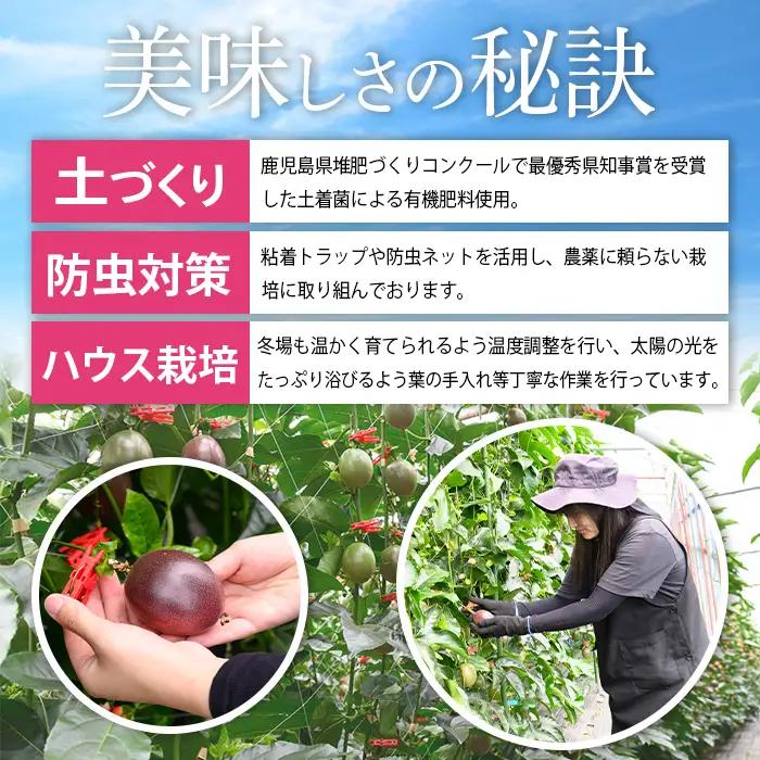 【ふるなびWEEK対象】【A68002】期間限定 鹿児島県産 パッションフルーツ 約2.2kg 12玉入り2箱【丸山果樹園】