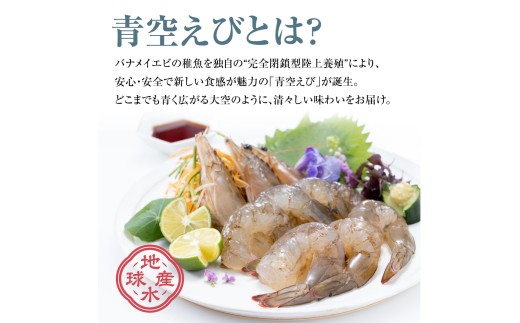 青空えび（和名：シロアシエビ）２パック入り / 海老 魚介類 冷凍 水産 食品 人気 おすすめ 送料無料【conn0001】