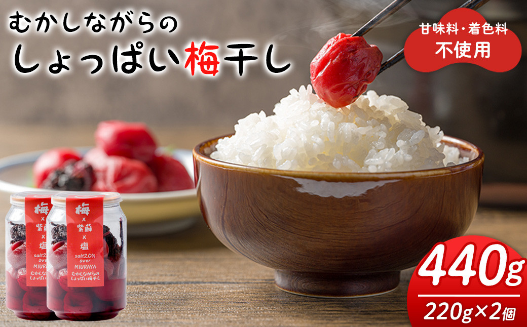 
            昔ながらのしょっぱい梅干し 220g×2個 うめぼし 梅 塩 赤しそ 漬物 漬け物 おかず お弁当 ご飯のお供 【三浦屋】ta527
          