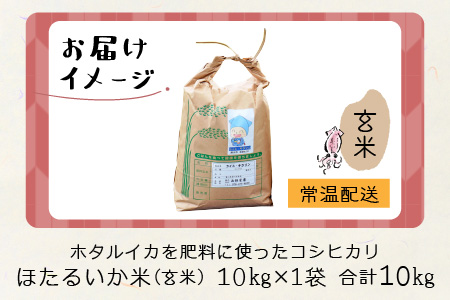 【訳あり】ほたるいか米（玄米10kg）【通年発送】 　ホタルイカを肥料に使ったコシヒカリ