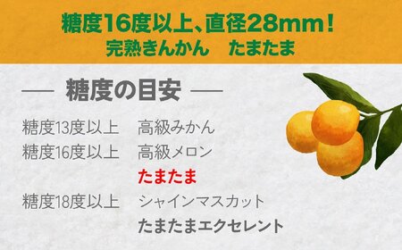 完熟きんかん たまたま 2kg ふるさと納税 果物 フルーツ デザート スイーツ きんかん きんかんたまたま 完熟 宮崎県産 国産 宮崎産 贈答 贈り物 ギフト プレゼント ブランド 柑橘 柑橘系 柑