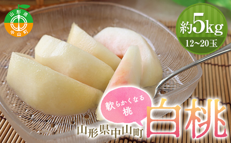 《2025年先行受付》山形県中山町産 白桃 秀品 5kg 品種おまかせ 軟らかくなる桃 12～20玉 もも モモ フルーツ 果物 くだもの 山形県産 F4A-0379