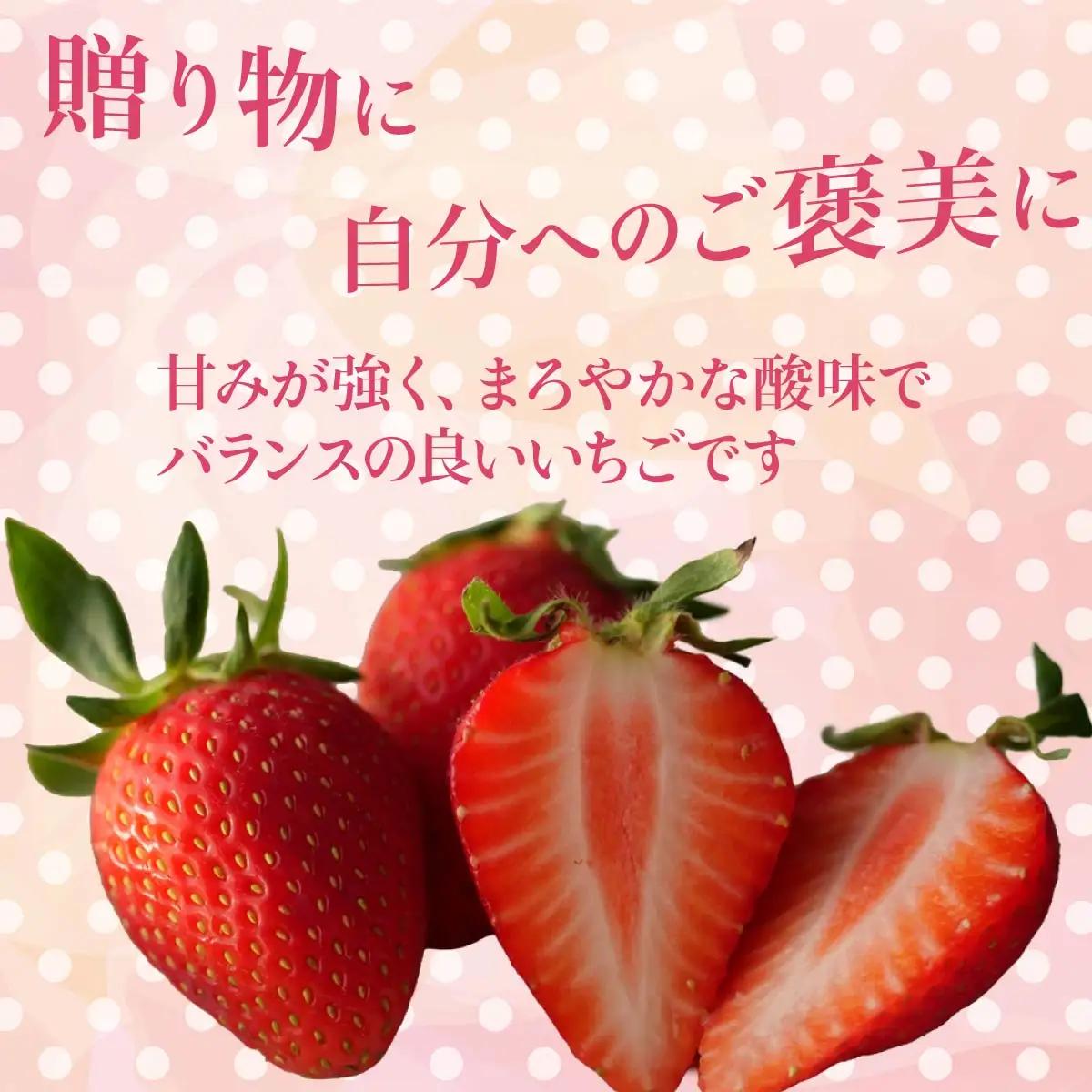 いちご やよいひめ 贈答用化粧箱 2シート 800g いちご