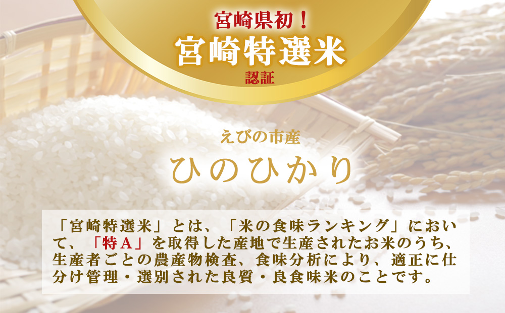 【12回定期便】米 えびの産 ひのひかり 10kg×12ヶ月 合計 120kg 米 お米 精米 白米 ご飯 ヒノヒカリ 国産 宮崎県産 特選米 九州産 送料無料 コメ おにぎり つや 艶 ツヤ たまご