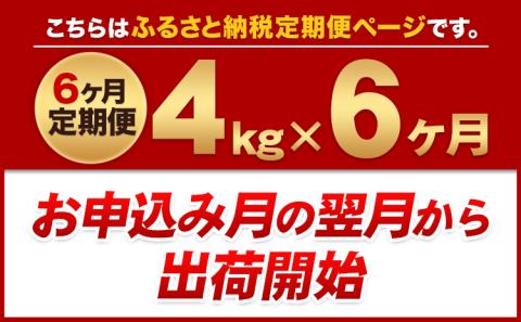 6ヶ月定期便 うまかポーク  約400g×7袋 【切り落とし2.8kg+ミンチ1.2kg】《お申込み月の翌月から出荷開始》---fn_fuptei_23_68000_mo6num1_set---