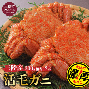 【期間限定！2026年3月～4月発送先行予約】三陸産活毛ガニ 300g相当×2杯【35】天然 国産 冷蔵 三陸 直送 濃厚 かに 蟹 カニ 毛ガニ 毛蟹 毛がに 