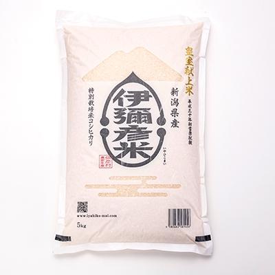 ふるさと納税 弥彦村 【伊彌彦米とパックごはんセット】精米5kg×2袋 パックごはん4パック ブランド米 新潟県 弥彦村 |  | 01