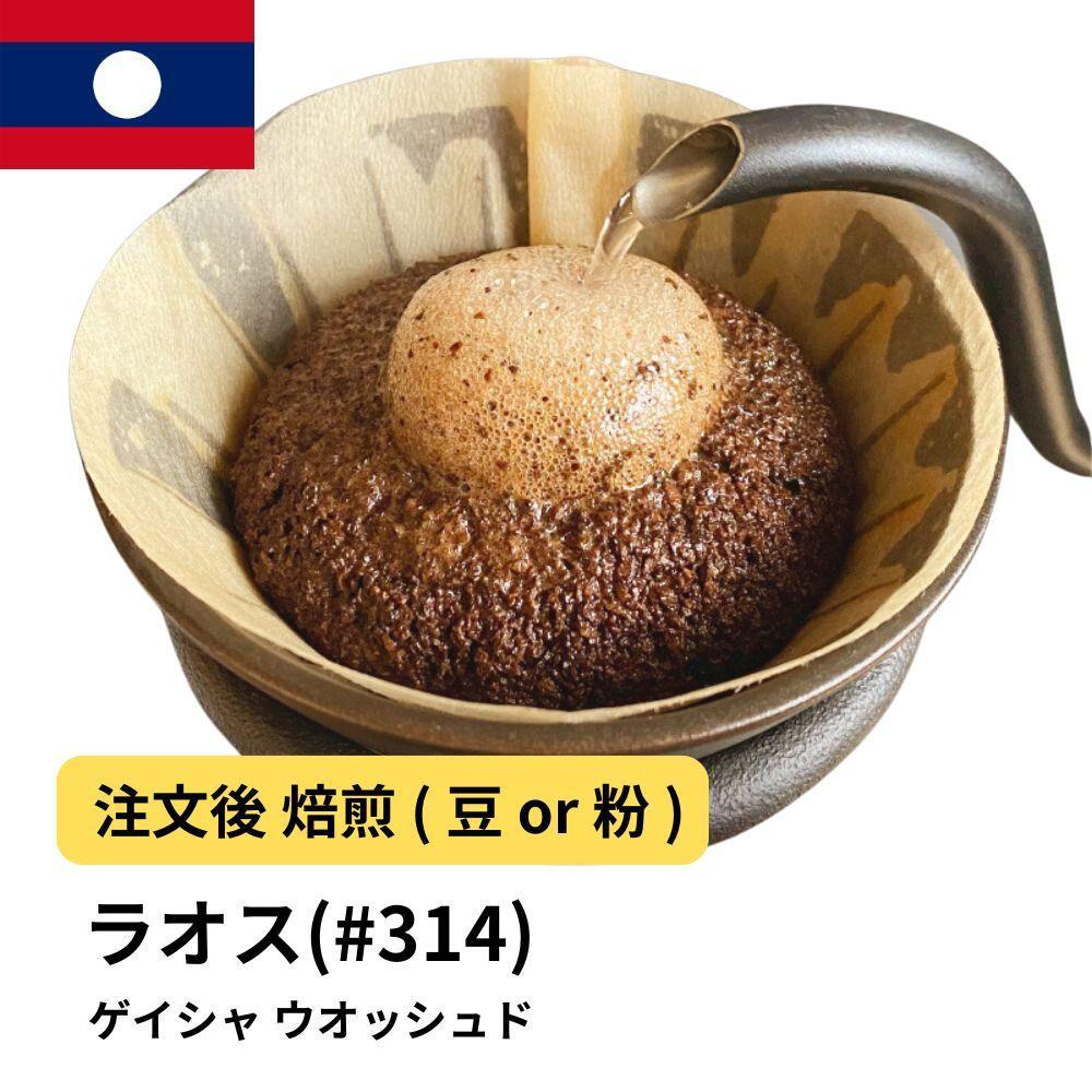 【豆】コーヒー #314 ラオス ゲイシャ100% ウオッシュド 310g 当日焙煎 大山珈琲
