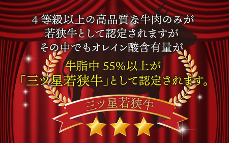  【定期便】【6ヶ月連続お届け】三ツ星若狭牛切り落とし 450g×6回　計2,700g｜牛肉 焼肉 しゃぶしゃぶ すき焼き すき焼き肉 若狭牛 肉 肉セット 肉うどん 冷凍 450g ブランド牛 切り
