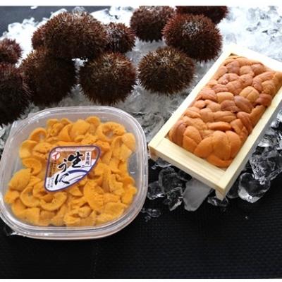 ふるさと納税 根室市 エゾバフンウニ100g×1折・塩水パック100g×1P F-71002