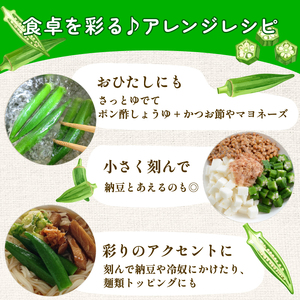 オクラ 800g 令和7年産 おくら 朝採りオクラ 新鮮オクラ 採りたてオクラ オクラ オクラ tsuguchan001