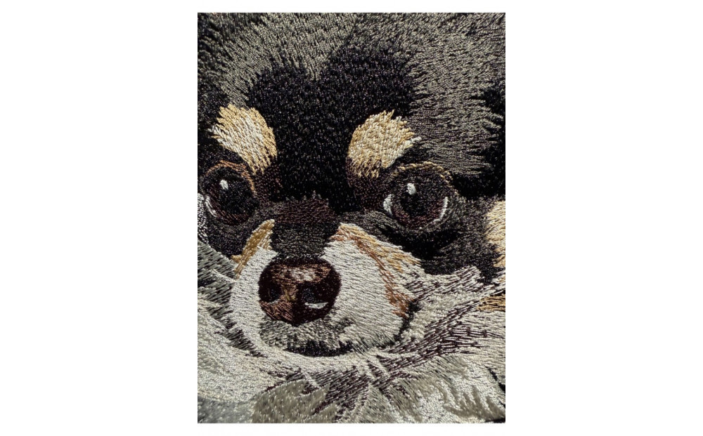 【完全オーダーメイド】ペットフォト刺繍アートパネル｜自社ラボ一貫制作・高精細仕上げ「Cue by青久商店」 S6サイズ　F8サイズ　アイアン製額あり