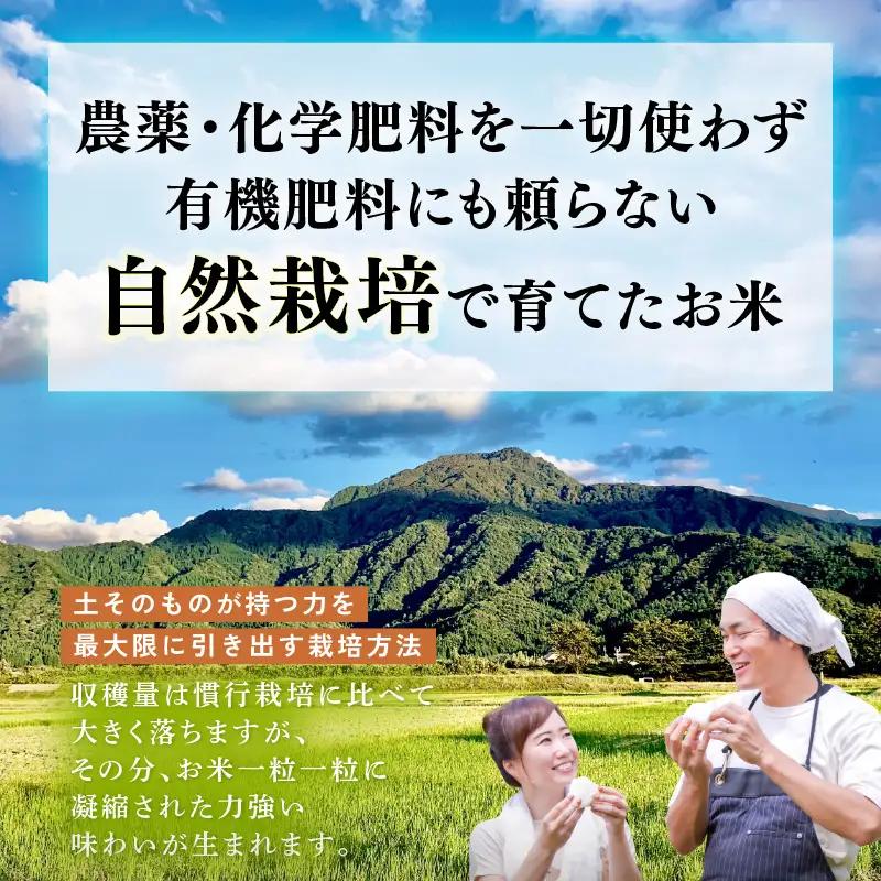 【先行予約】【令和8年産 新米】定期便 ≪3ヶ月連続お届け≫ 自然栽培米コシヒカリ 無洗米5kg×3回（計15kg） 伊与衛門農園の特別栽培米＜温度と湿度を常時管理し新鮮米を出荷！＞/ 米 白米 自然