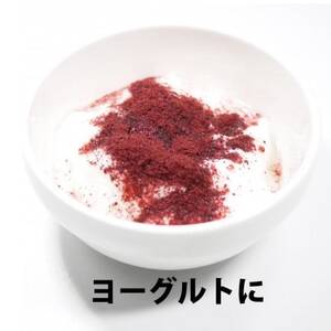 青森県産カシス使用　カシスパウダー　1袋(100g入り)【1654679】