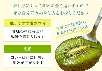 【先行予約】富山県産キウイ（翡翠グリーン）8個（約１kg）ギフトボックス入り ＜10月以降順次発送＞ 富山県氷見市キウイ1kg グリーンキウイ ギフト プレゼント