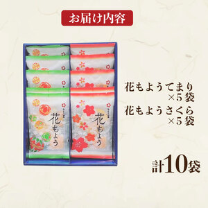 おかき 10袋 セット 詰め合わせ Mサイズ  煎餅 せんべい あられ 米菓 米 食べきり 小袋 贈答 箱 プレゼント花もよう 米 煎餅 米菓 和 新潟 新潟県 新発田市 新発田 さくら製菓 さくら堂