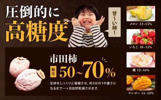 長野県産 ご家庭用 市田柿(300g×3袋)＜2027年1月中旬～2月下旬発送＞
