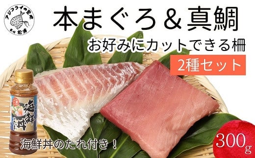 海鮮丼のたれ付！長崎県産本まぐろ＆ハーブ仕立ての真鯛　柵セット2種300g【B2-125】 まぐろ マグロ 鮪 たい タイ 鯛 海鮮丼 たれ 海鮮 セット 養殖 刺身 寿司 カルパッチョ