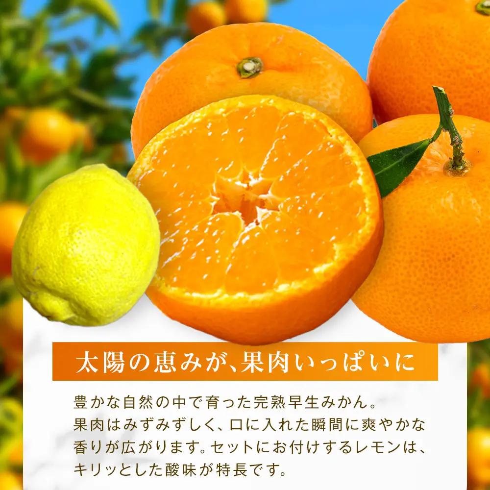 【先行予約】完熟早生みかん５ｋｇと璃の香（レモン）１個【2026年12月下旬以降発送】| 湯河原町 みかん レモン 果物セット フルーツ ギフト 果物