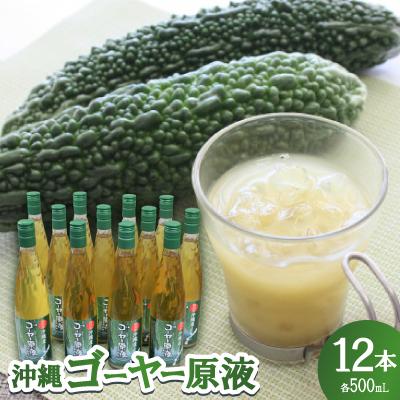 ふるさと納税 名護市 沖縄ゴーヤー原液1ケース(500ml×12本)