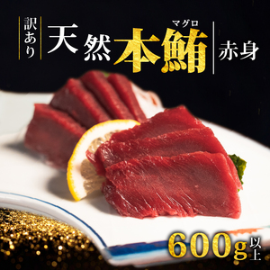 【スピード発送】 訳あり 天然本まぐろ 赤身600g以上 まぐろ