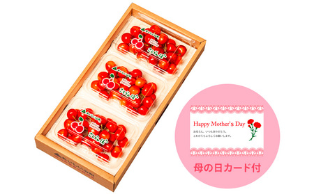 一足先にお届け！【母の日】さくらんぼ佐藤錦540gLサイズ以上(180g×3パック) 【令和8年産先行予約】FS25-014