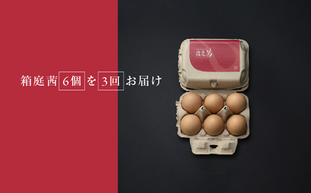 【定期便3回】見た目も旨みも想像以上・箱庭たまごの「箱庭茜」6個 卵 テレビで紹介 人気 高級 たまご 卵 玉子 おいしい ご褒美 栃木県 真岡市 送料無料
