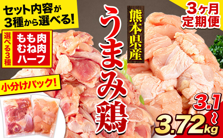 
            【3ヶ月定期便】鶏肉 選べる もも肉 or むね肉 うまみ鶏 大容量 便利な 小分け 鶏もも肉 鶏むね肉 若どり 個包装 定期便 熊本県産《お申込み月の翌月から出荷開始》
          