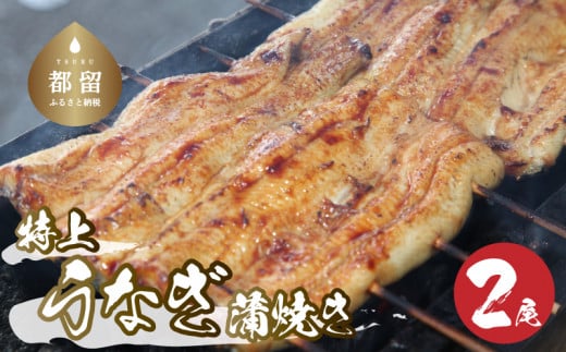 うなぎの蒲焼（半カット）2尾　380g以上 湯煎　温めるだけ 冷凍 真空パック 人気 お試し　ウナギ　鰻　うな重　かば焼き　ご馳走