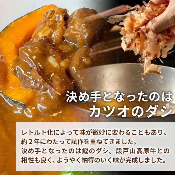 お肉がごろっと入った！たけうち牧場のビーフカレー お試し 1個 国産牛 ご当地カレー カレー 中辛 ブランド牛カレー レトルトカレー スパイス 段戸牛カレー  -217