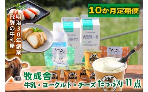 10か月定期便【飛騨乳製品バラエティセット】牛乳・ヨーグルト・チーズ詰め合わせ　11点セット ｜乳製品 習慣 詰合せ 家族 朝食  牧成舎 牧成舎 DF246