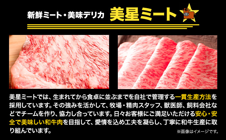 牛すじ肉 岡山和牛 約800g 400g × 2 美星ミート《30日以内に発送予定(土日祝除く)》岡山県 浅口市 肉 和牛 国産  スジ 牛すじ 冷凍 カレー 煮込み おでん 送料無料