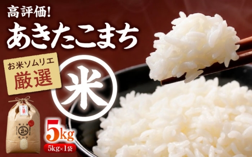 【年内発送】米【米食味鑑定士×お米ソムリエ】 あきたこまち5kg　 お米 あきたこまち 白米 お米 新米 あきたこまち おむすび クリーン精米 お米 ご飯 おにぎり ごはん 白米 和食 おコメ  日本食 おこめ 国産 ソムリエ 米食味鑑定士 柔らかい食感 自然な甘み 香り 旨味 バランス良い 食卓 美味しい 料理に合う ふるさと納税 愛媛県 大洲市 愛媛県大洲市/稲工房案山子 [AGAV015]