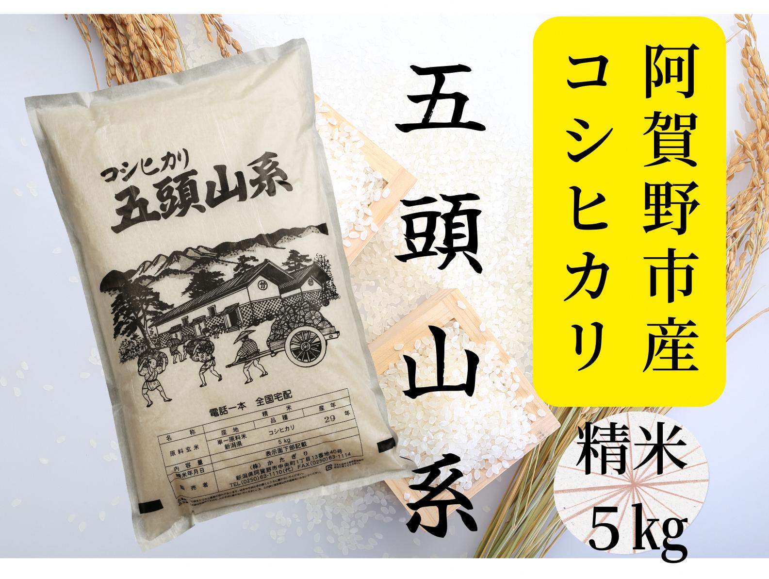 
【新米】【新潟産コシヒカリ】 5kg 「五頭山系」 米屋のこだわり阿賀野市産 米屋かたぎり 1E01012
