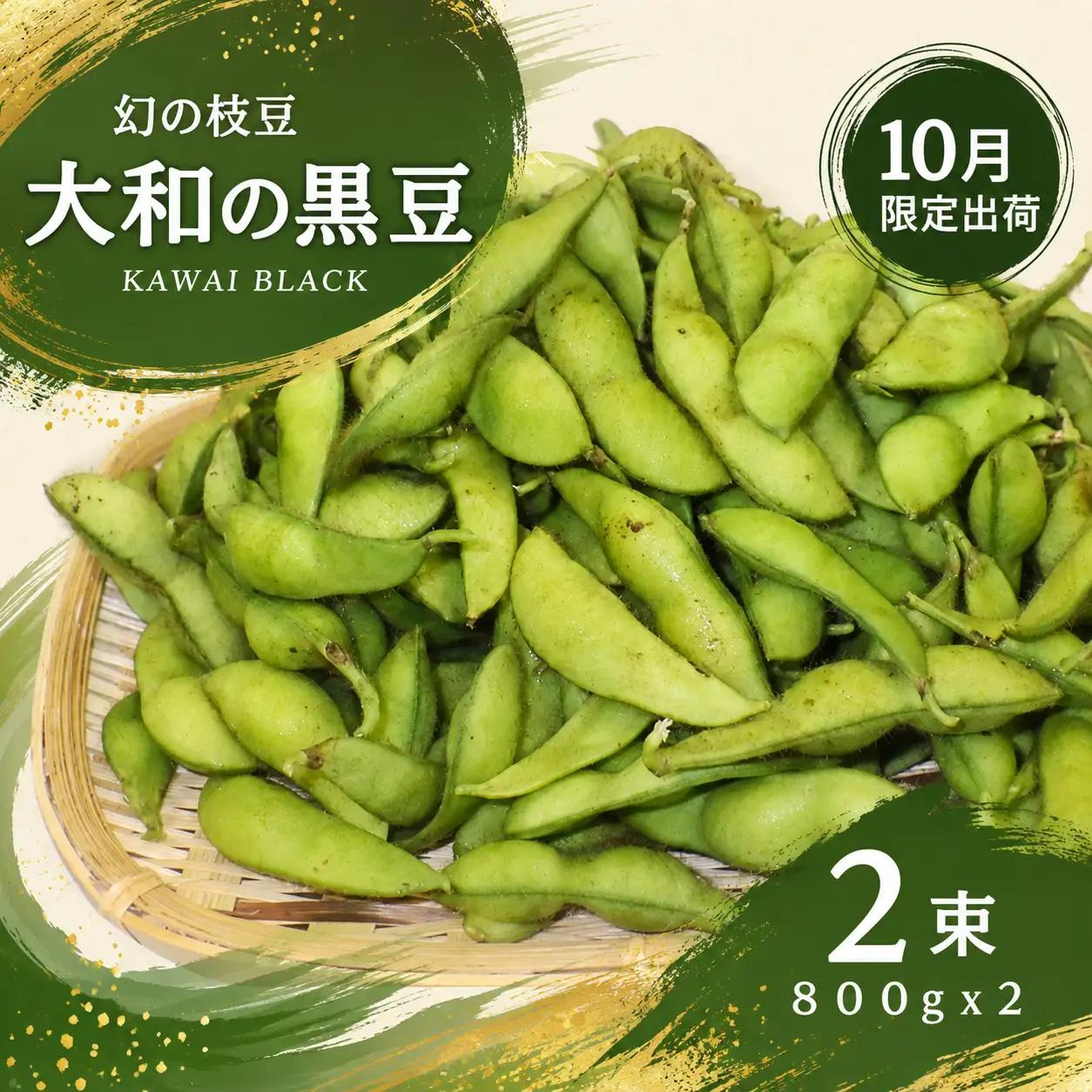 【先行予約】大和の黒豆 幻の枝豆 優品1.6kg(800g×2束) 枝豆 えだまめ