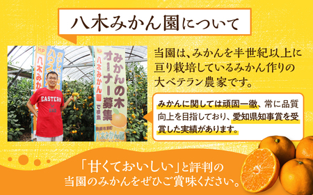  温州みかん 10 kg 訳あり 八木みかん園 農家直送