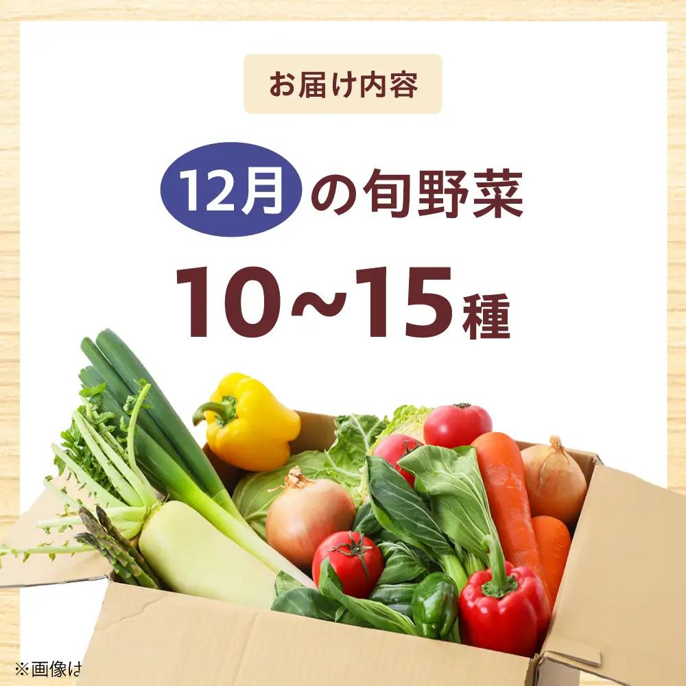 高槻野菜おまかせ詰め合わせセット 12月（10種〜15種）[AOCS018] 野菜セット