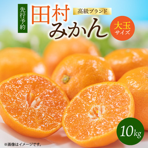 【2026年11月下旬より発送】高級ブランド 田村みかん 10kg 大玉サイズ_G7052