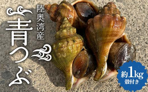 
            陸奥湾産 青つぶ 殻付き 1kg詰め 【飛佳丸】 活 青つぶ貝 ツブ つぶ つぶ貝 お刺身 つぶ刺し 刺身 焼きつぶ おつまみ 高級食材 魚介 海鮮 青森県 平内町 東北 むつ湾 F21J-263
          