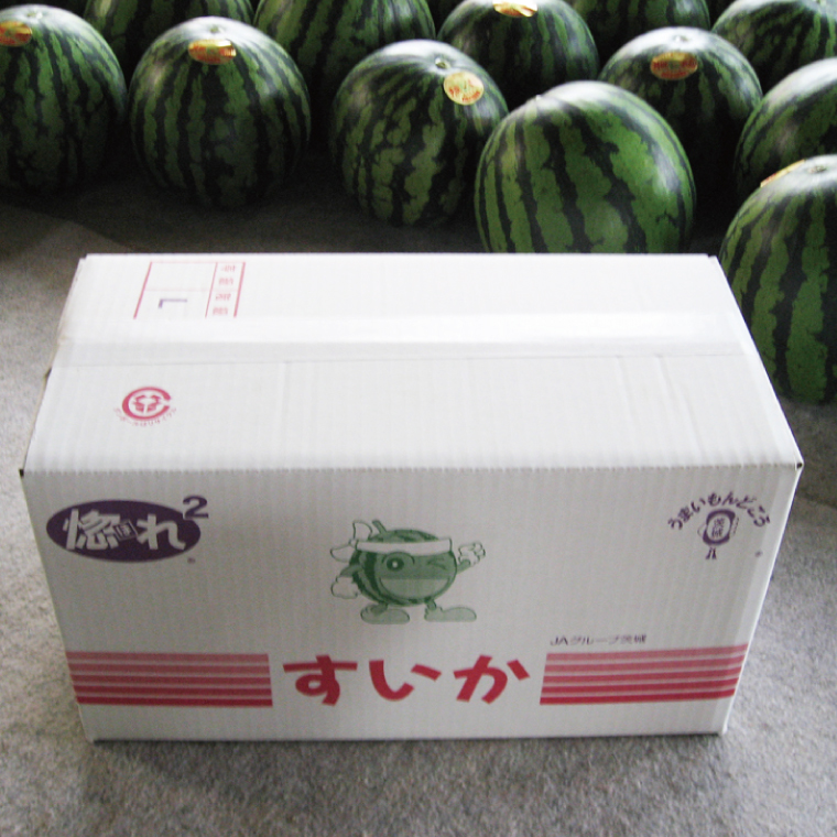 【先行予約】【2025年6月中旬より発送予定】茨城県産大玉すいか2玉（1玉6～7.5kg）JA水郷つくば【スイカ 西瓜 フルーツ 果物 くだもの 大玉 茨城県 阿見町】(20-04)