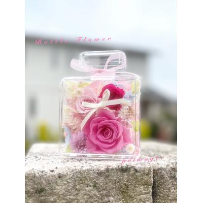 ふるさと納税 新宮町 ボトルフラワー(5色から1つ選択).AC299 |  | 02