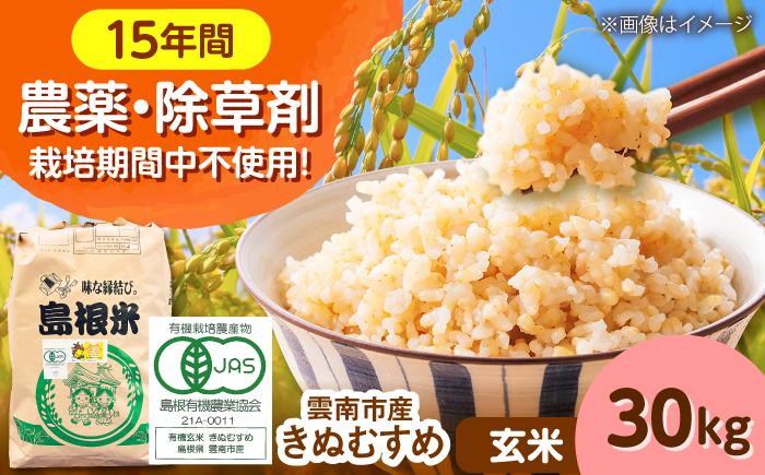 【有機JAS認証】令和7年産 玄米 雲南市産きぬむすめ 30kg（10kg×3袋） 島根県雲南市/佐藤ファーム ｜玄米 コメ 有機栽培 美味しまね認証 [AIEO008]