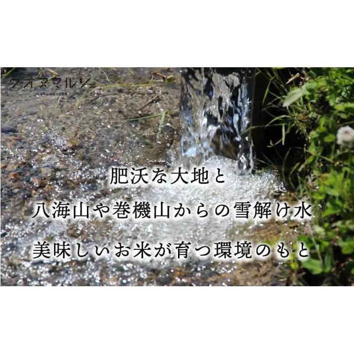【令和７年】【お米定期便/全６回】 おかずのいらない 魚沼産コシヒカリ　白米５ｋｇ｜コシヒカリ