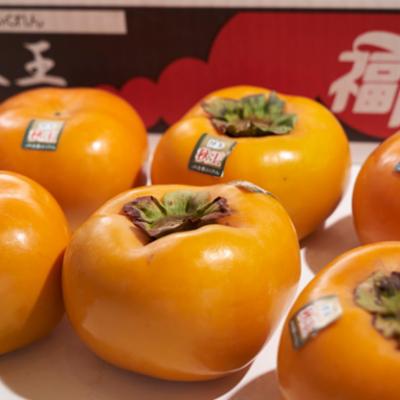 ふるさと納税 大牟田市 福岡オリジナルブランド　甘柿 秋王(あきおう)　約3kg箱(大牟田市) |  | 02