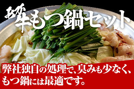 あか牛 もつ鍋 セット (2～3人前) ホルモン 500g もつ鍋スープ付 【 ホルモン もつなべ 鍋 牛肉 熊本産 国産牛 和牛 赤身 ヘルシー 】046-0239