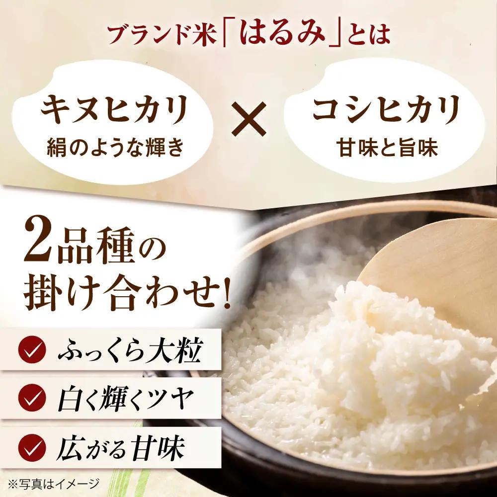 【先行予約】【遠藤ファーム】 はるみ 新米 新米 10kg 令和8年産 [BDAF002]