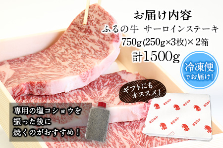 ふるの牛（黒毛和牛）特選サーロインステーキ 1500g 1箱(250g×3枚)×2箱 ゲランド塩付き A5 有限会社ふるの《30日以内に出荷予定(土日祝除く)》